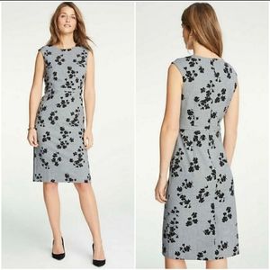 Ann Taylor Gray and Black Floral Sheath Dress